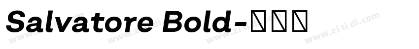 Salvatore Bold字体转换